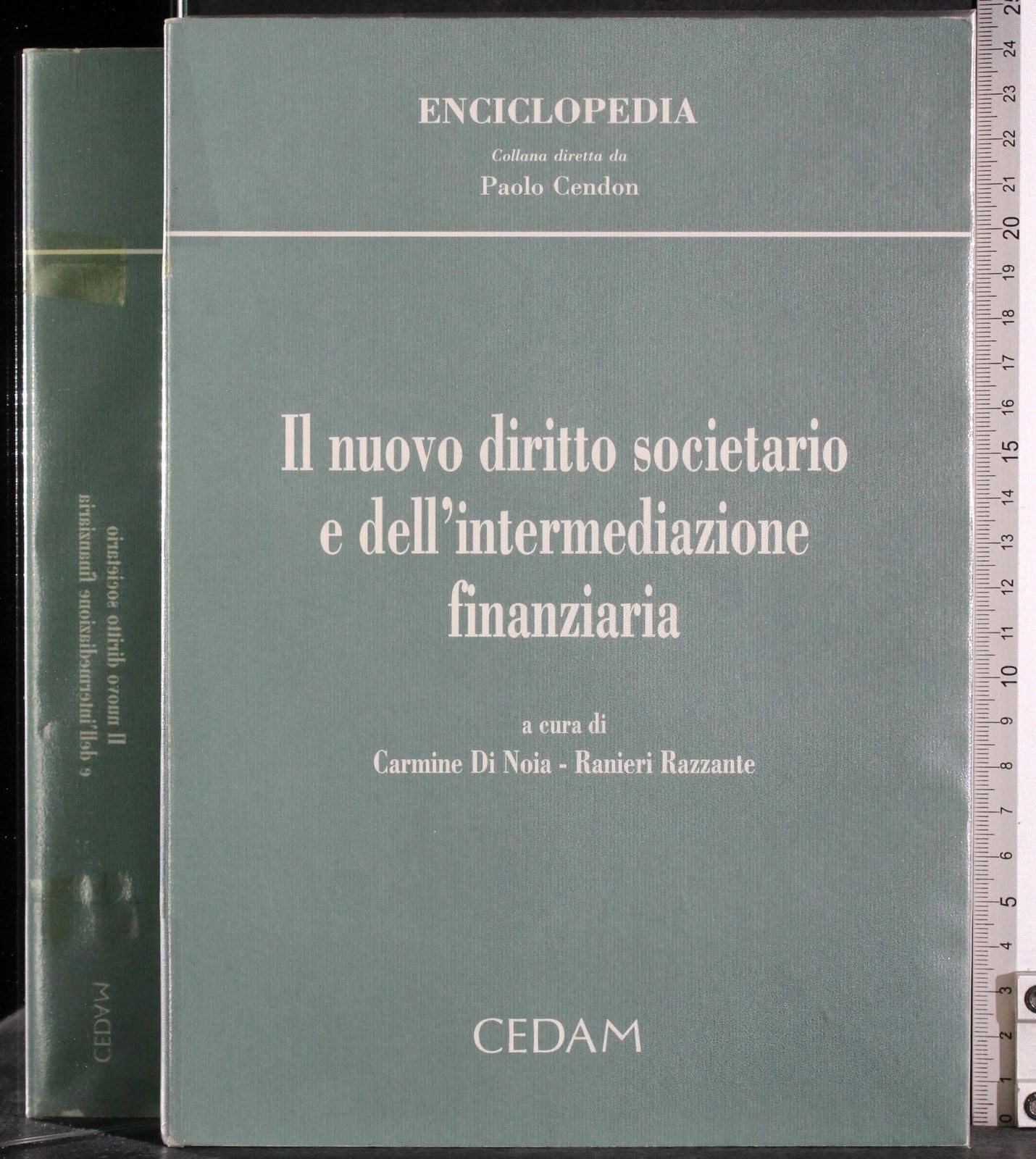 Il nuovo diritto societario e dell'intermediazione finanziaria. Guida al Testo Unico della finanza e ai provvedimenti attuativi (Enciclopedia, Band 25) Business & Technology