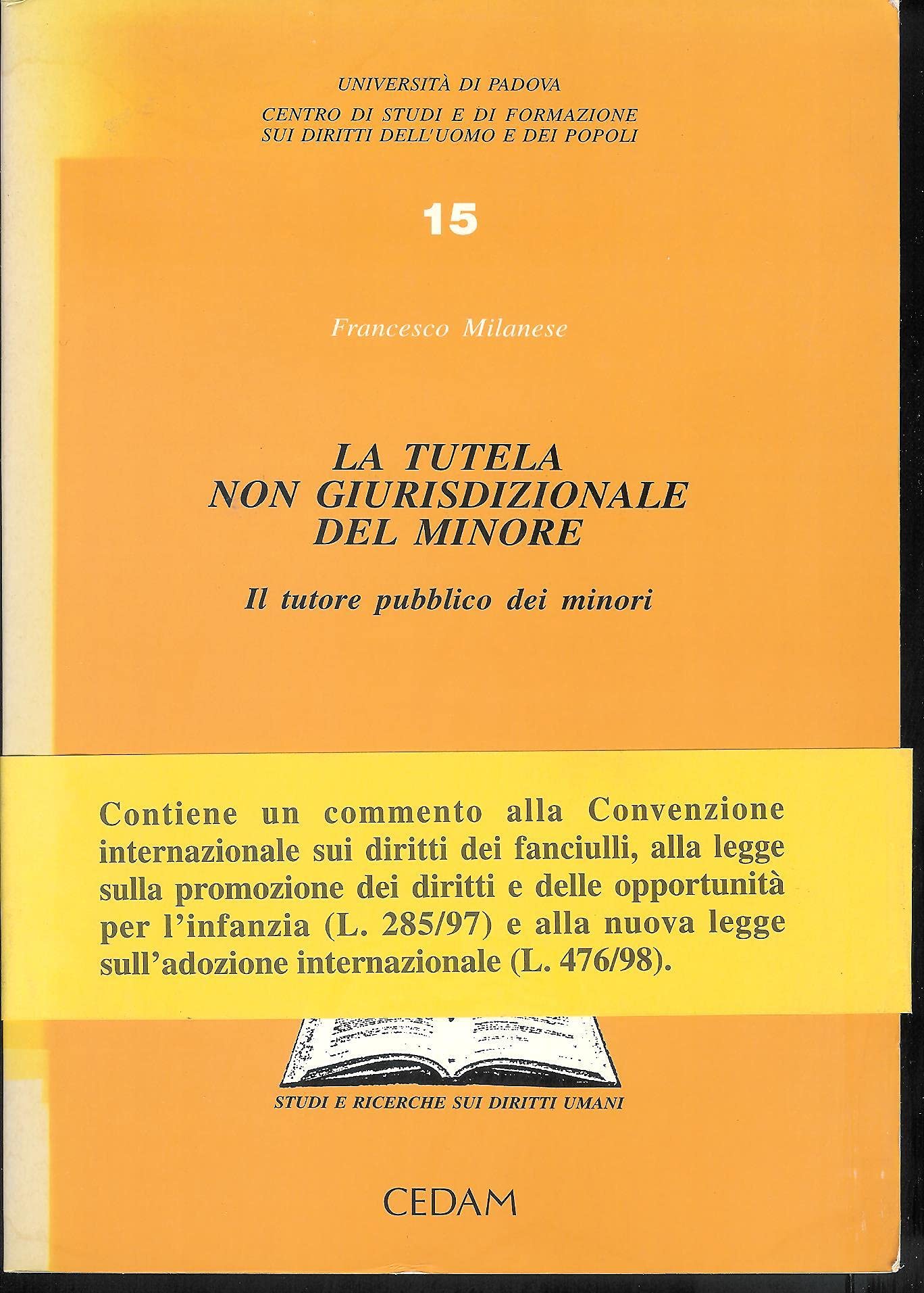 La tutela non giurisdizionale del minore. Il tutore pubblico dei minori (Centro studi diritti dell'uomo-Univ.Padov, Band 15) Books