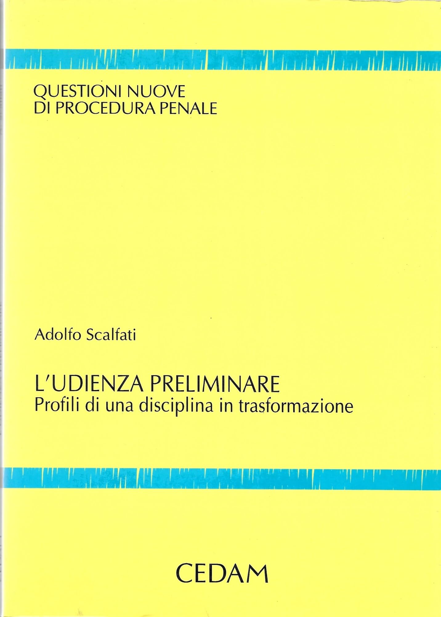 L'udienza preliminare. Profili di una disciplina in trasformazione (Questioni nuove di procedura penale, Band 12) Law