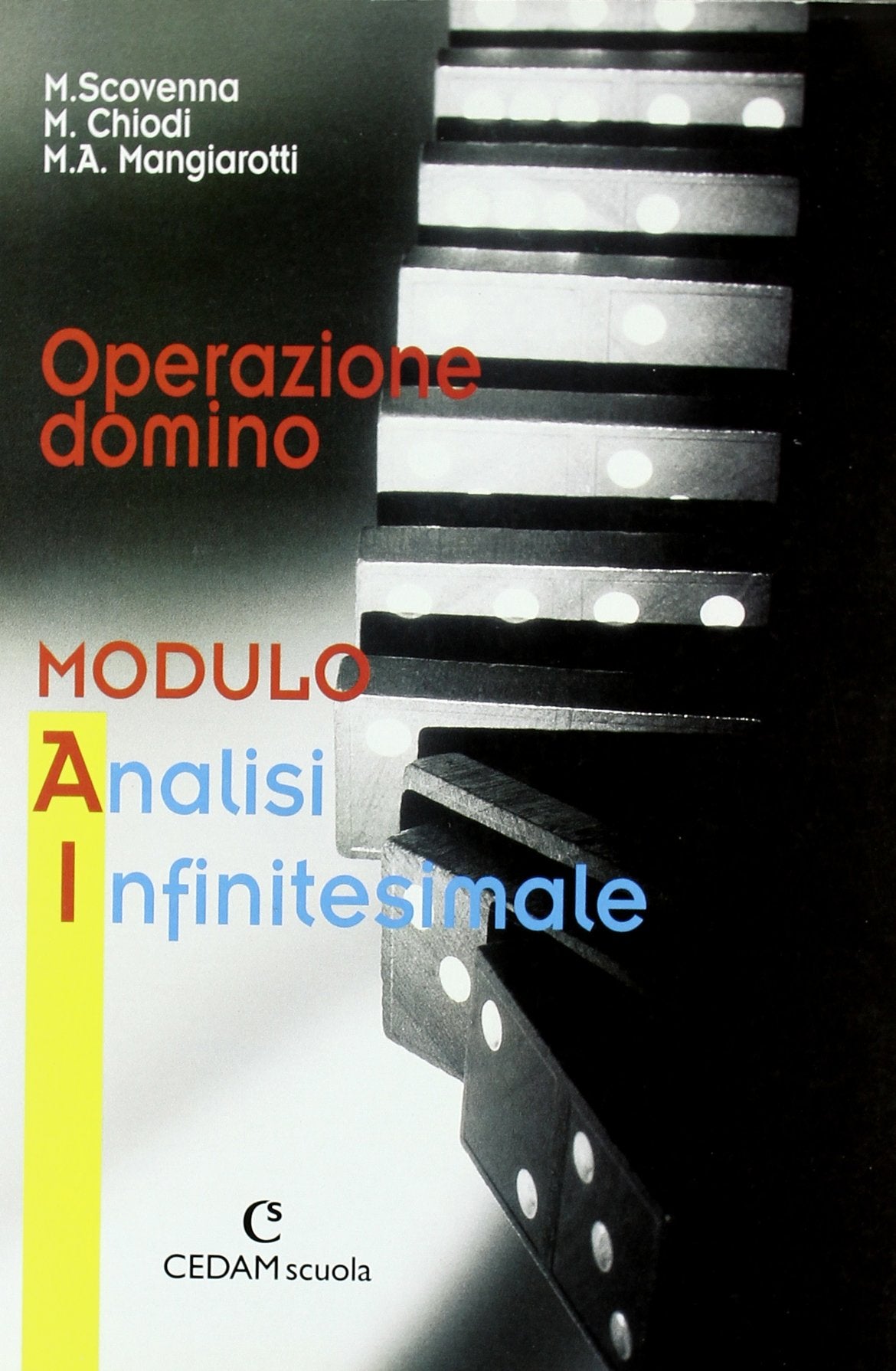 Operazione domino. Modulo AI: Analisi infinitesimale. Per le Scuole superiori book