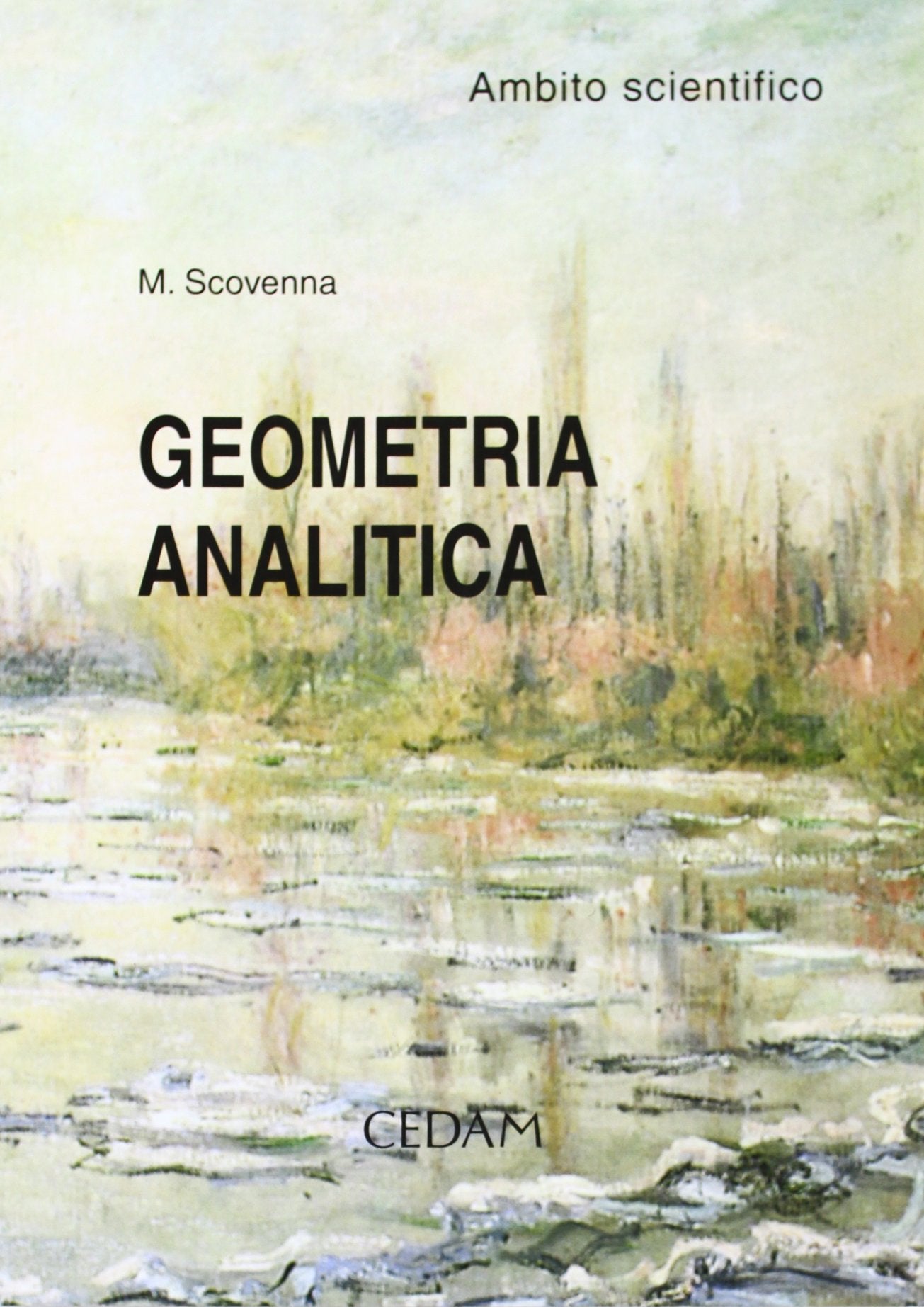 Geometria analitica. Ambito scientifico. Materiali per il docente. Per le Scuole superiori book