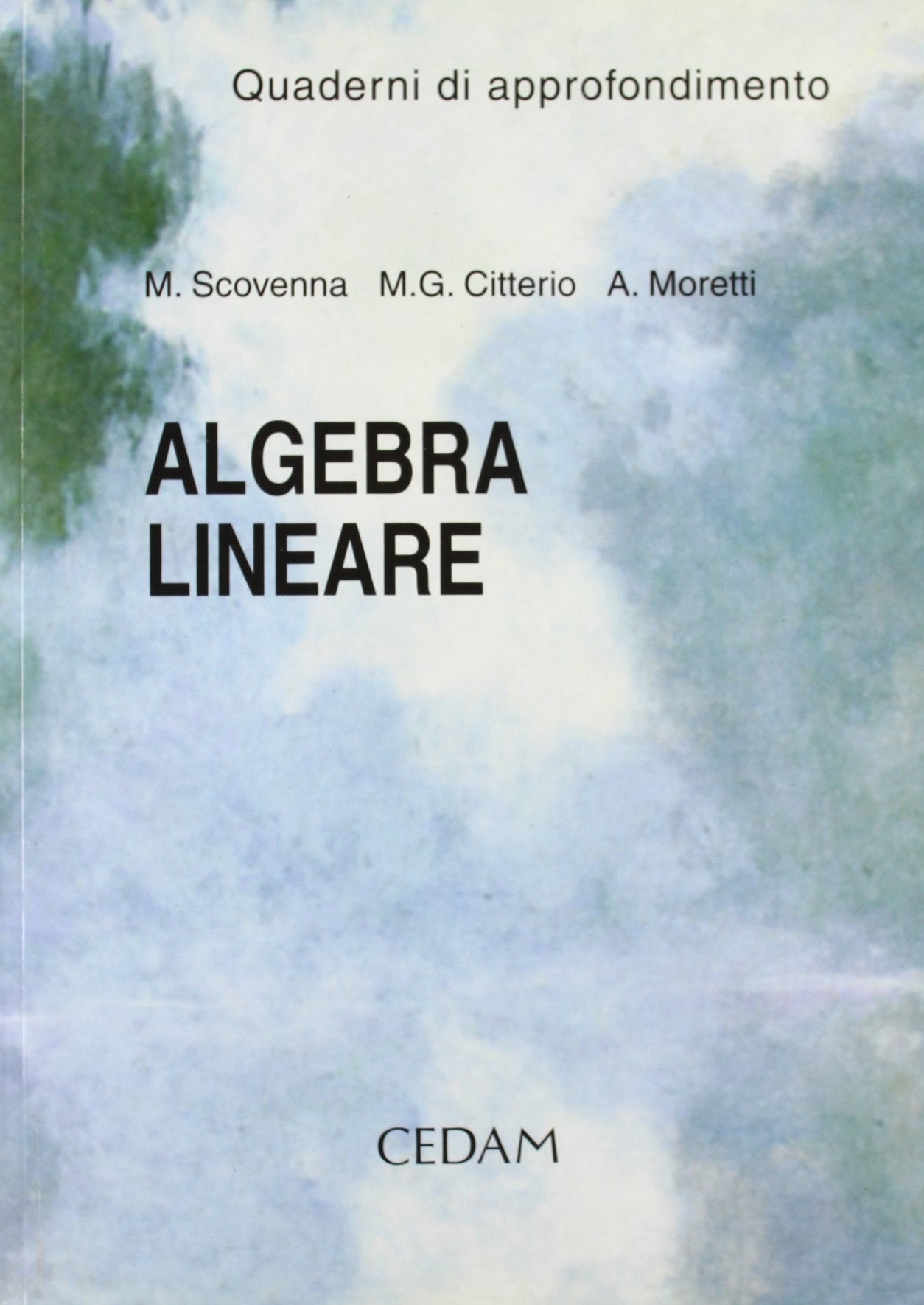 Algebra lineare. Quaderno di approfondimento. Per le Scuole book