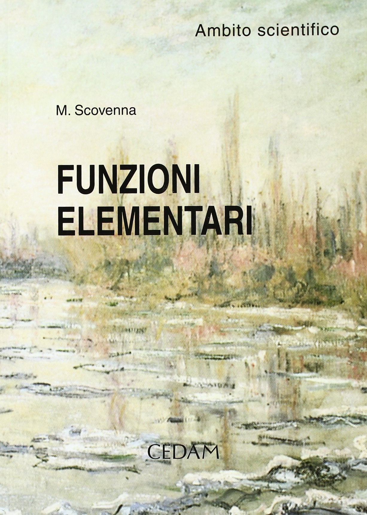 Funzioni elementari. Ambito scientifico. Per la Scuola superiore book