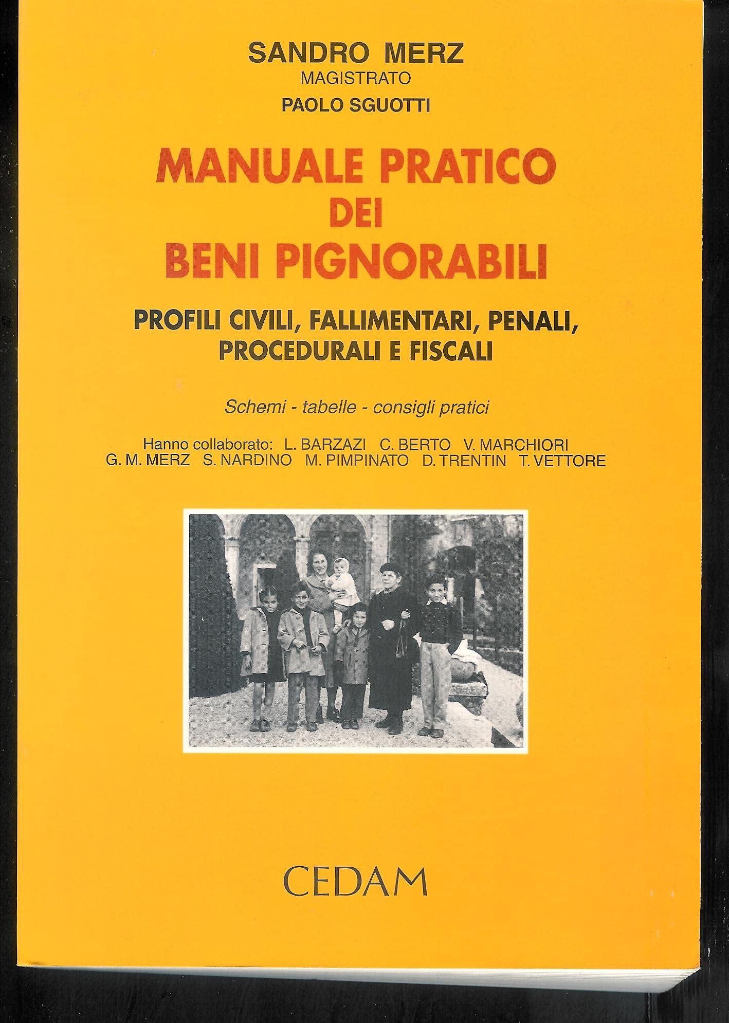 Manuale pratico dei beni pignorabili. Profili civili, fallimentari, penali, procedurali e fiscali. Schemi, tabelle e consigli pratici book