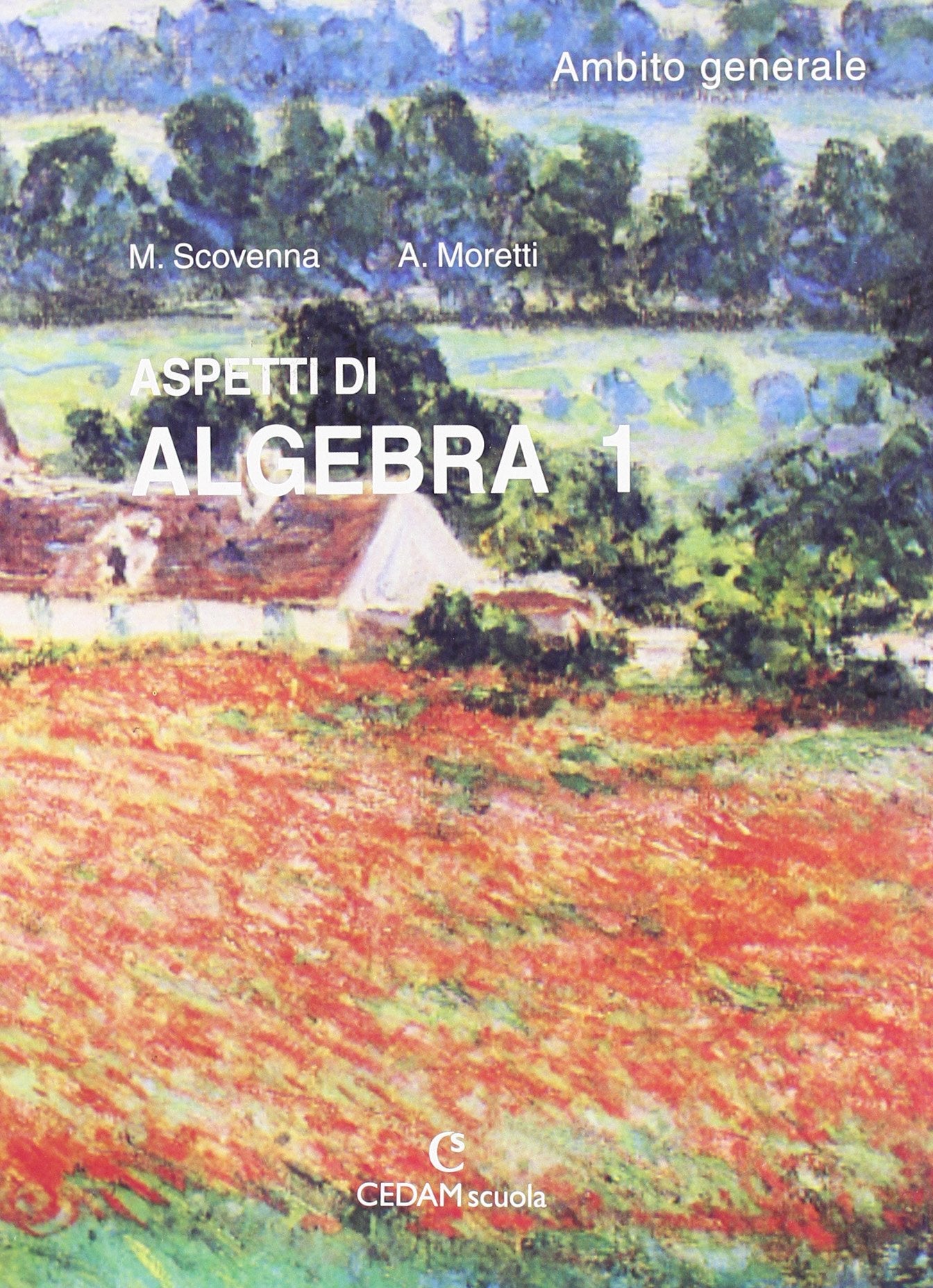 Aspetti di algebra. Ambito generale. Per le Scuole superiori (Vol. 1) Professional & Reference Books