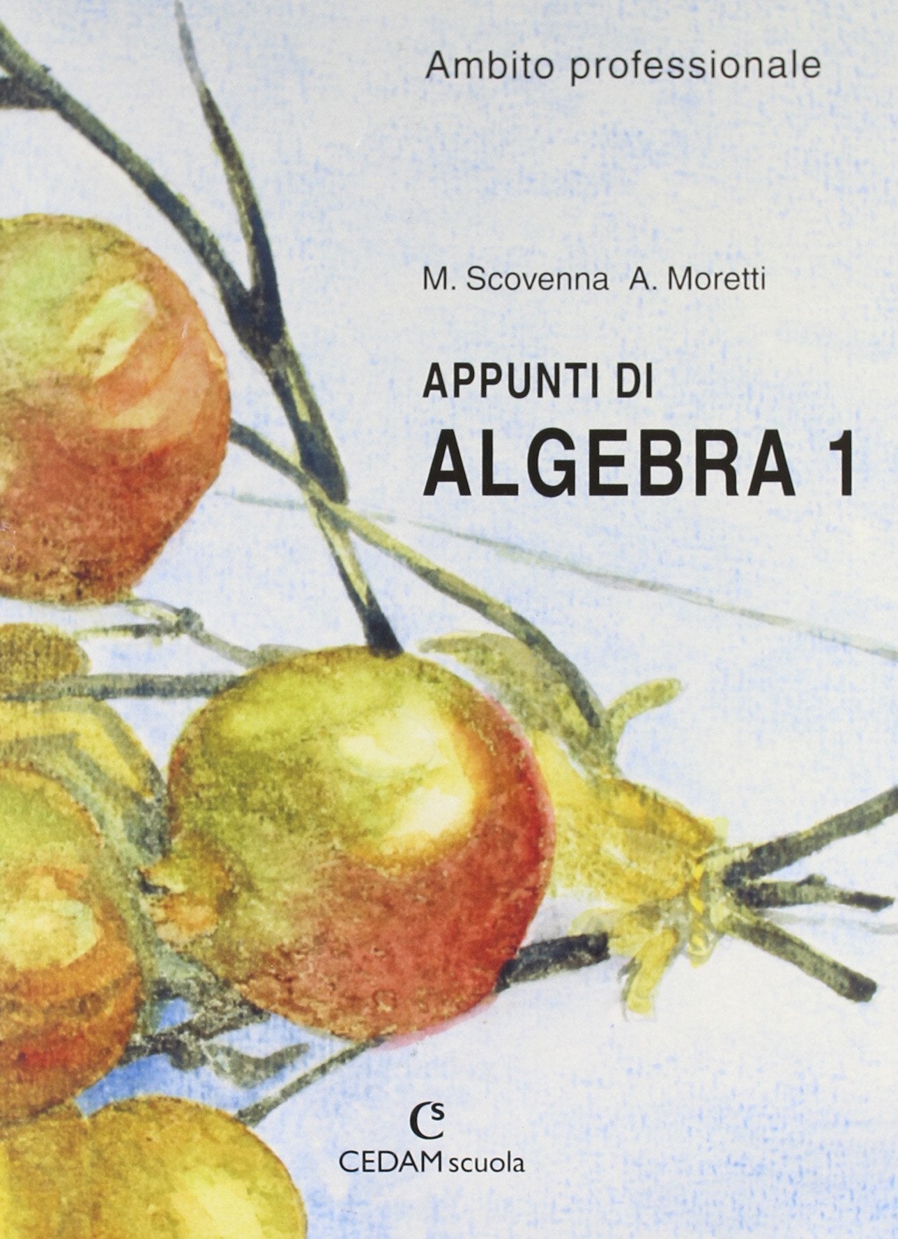 Appunti di algebra. Ambito professionale. Per gli Ist. Professionali (Vol. 1) Professional & Reference Books