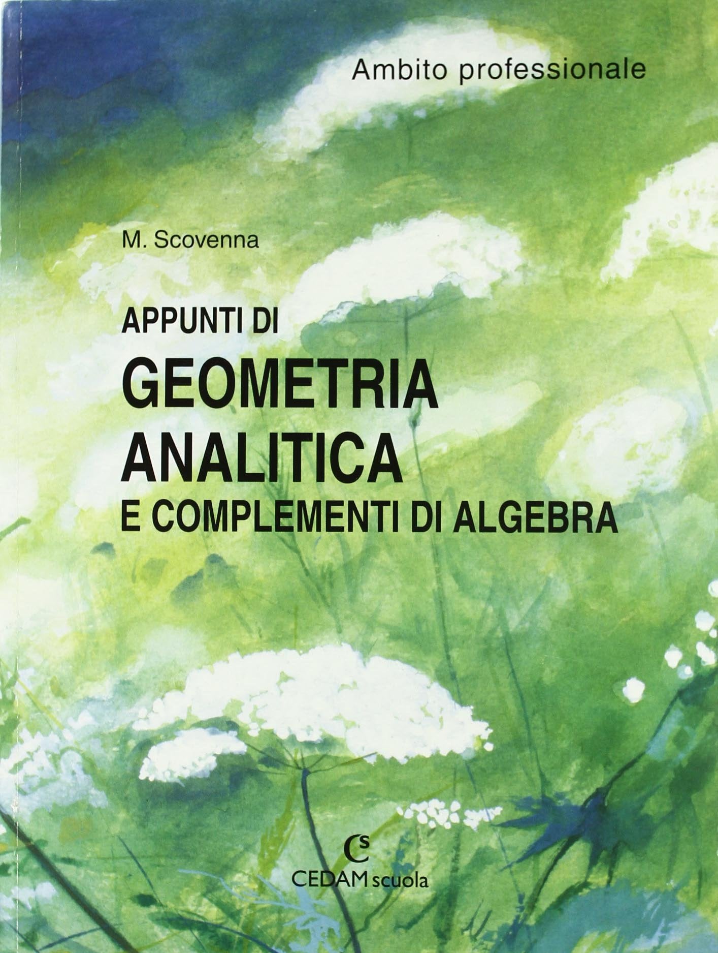 Appunti di geometria analitica e complementi di algebra. Ambito professionale. Materiali per il docente. Per gli Ist. professionali book