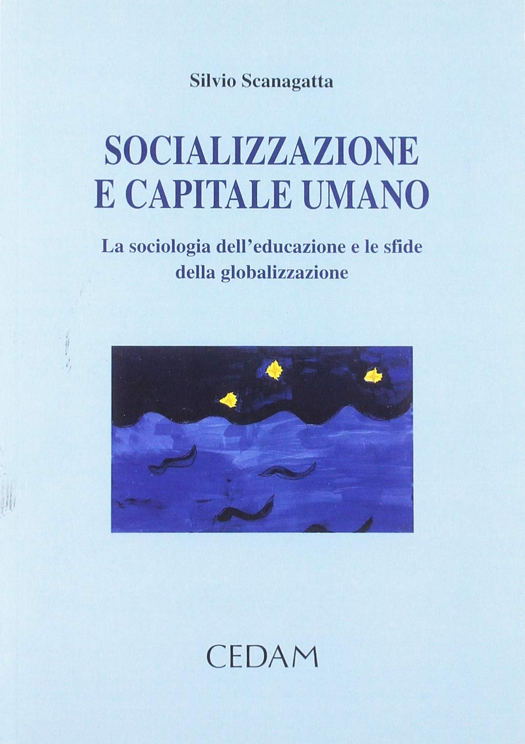 Socializzazione e capitale umano. La sociologia dell'educazione e le sfide della globalizzazione book