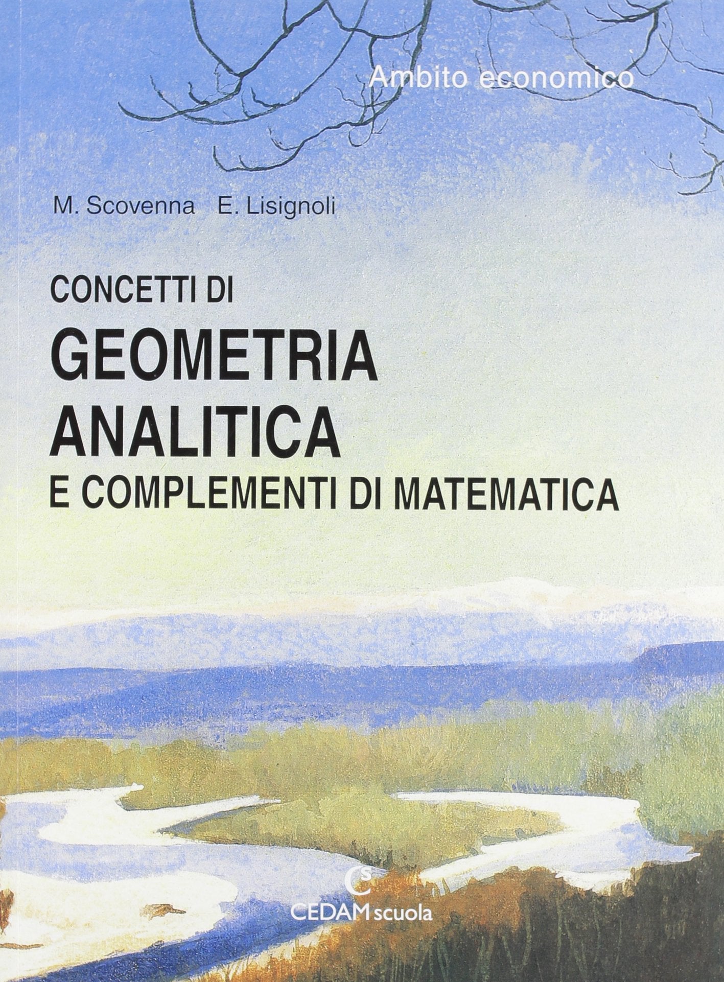 Concetti di geometria analisi e complementi di matematica. Ambito economico. Materiali per il docente. Per gli Ist. tecnici commerciali book