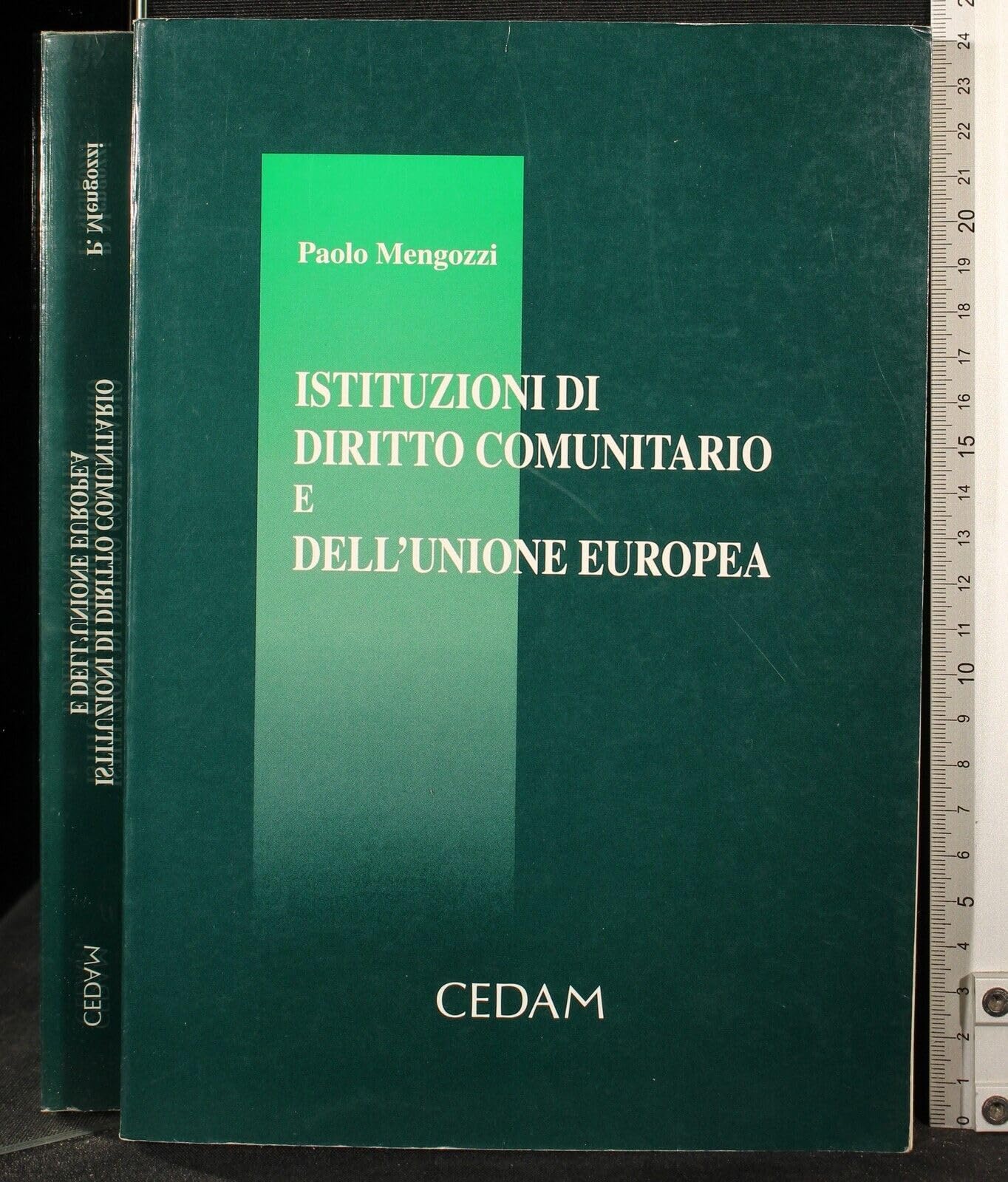 Istituzioni di diritto comunitario e dell'Unione Europea Politics & History