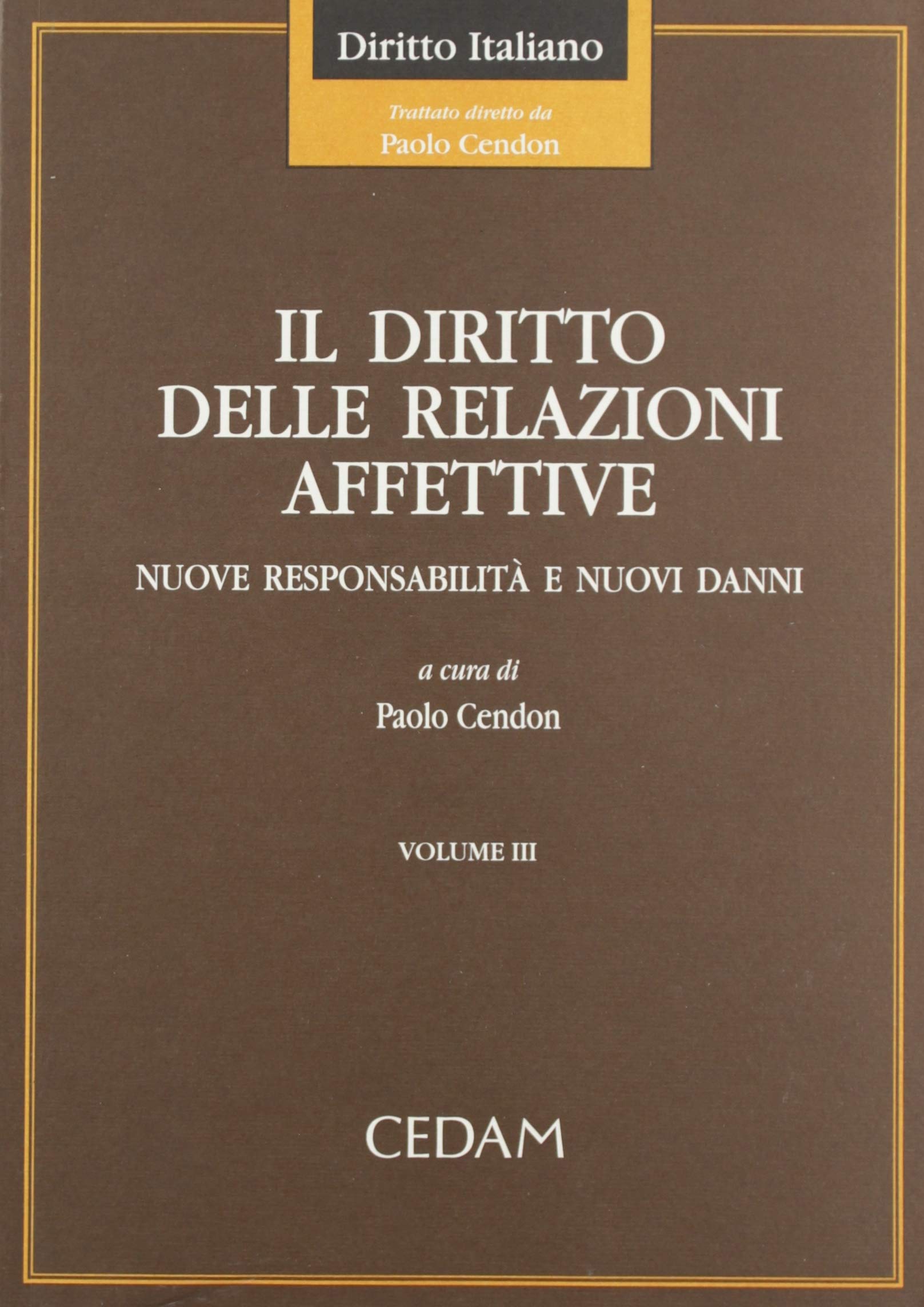 Il diritto delle relazioni affettive. Nuove responsabilità e nuovi danni book