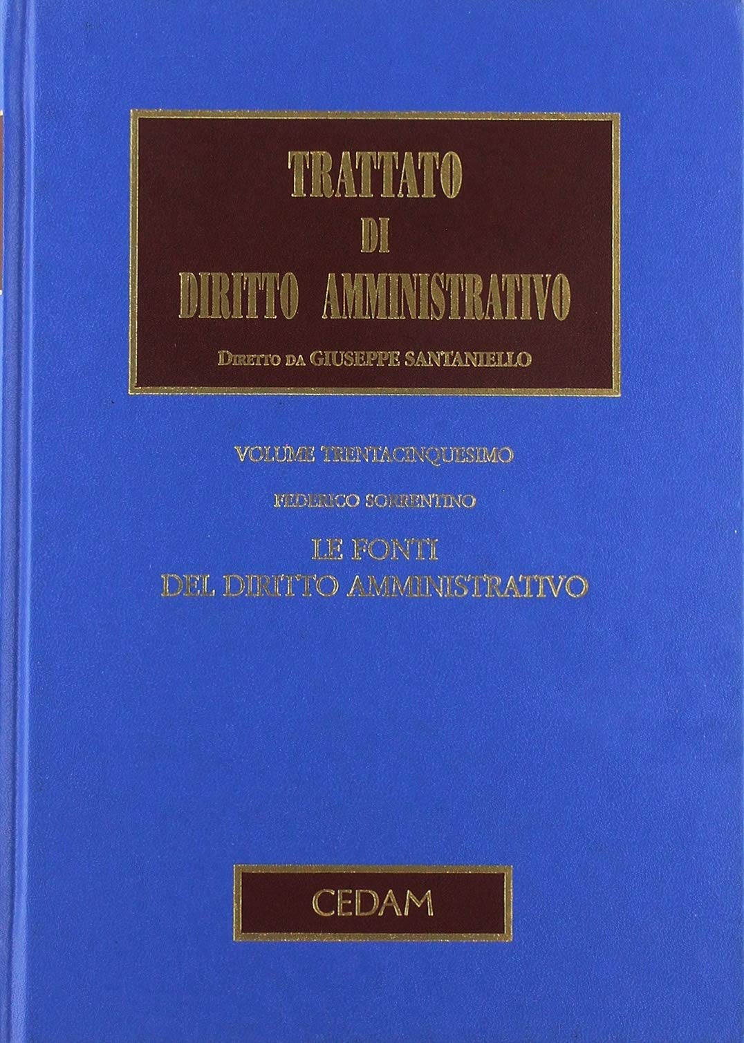 Trattato di diritto amministrativo. Le fonti del diritto amministrativo (Vol. 35) book
