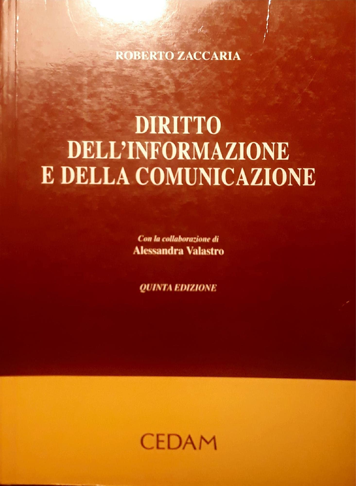 Diritto dell'informazione e della comunicazione book