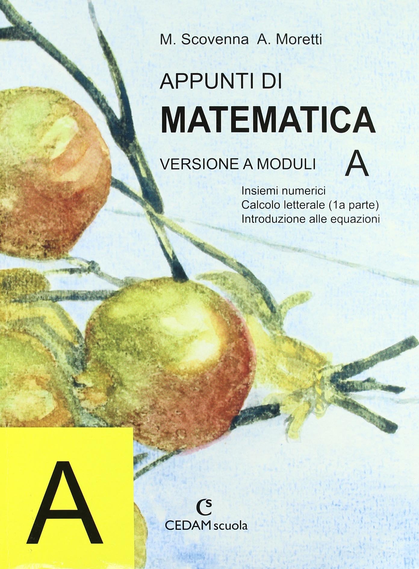 Appunti di matematica. Modulo A. Per le Scuole superiori book