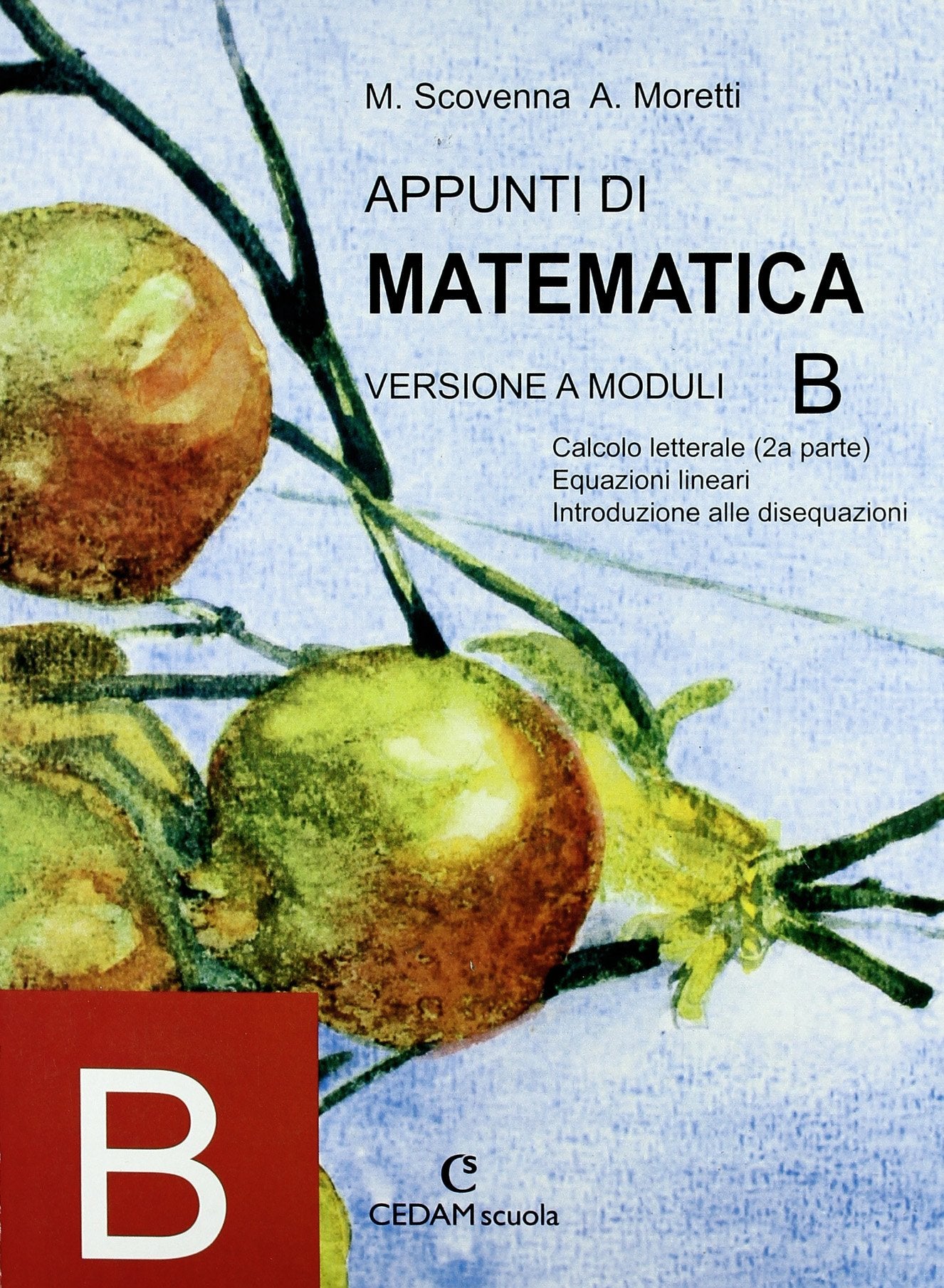 Appunti di matematica. Modulo B. Per le Scuole superiori Professional & Reference Books