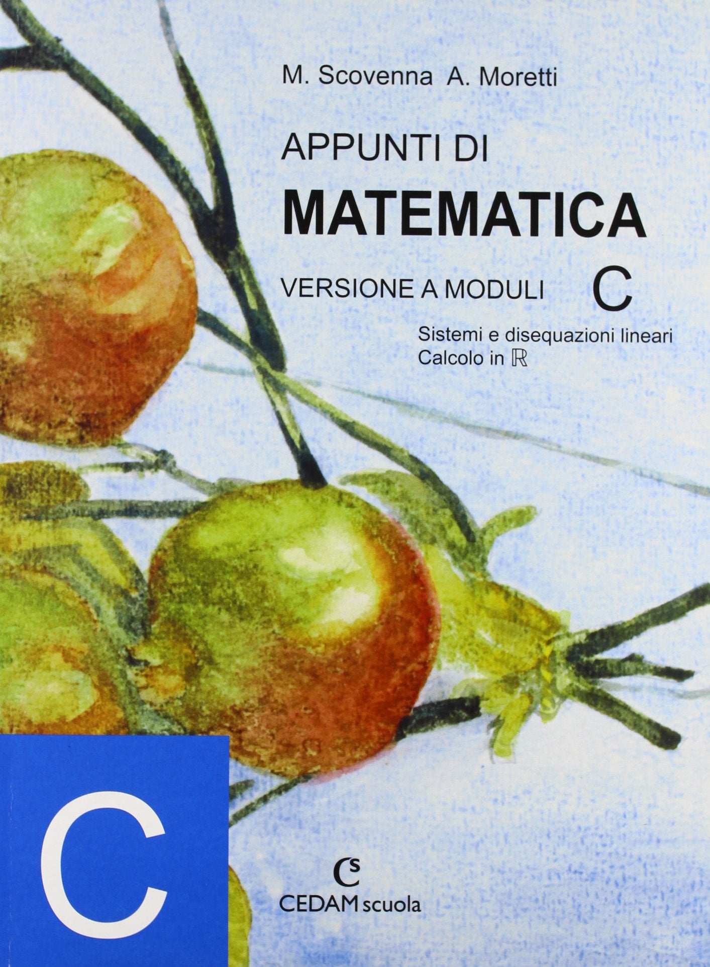 Appunti di matematica. Modulo C. Per le Scuole superiori Professional & Reference Books