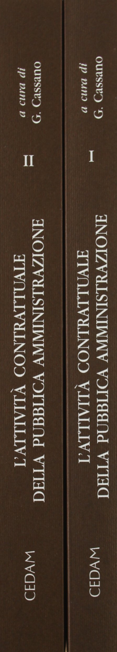 Attività contrattuale della pubblica amministrazione (Diritto italiano) Law