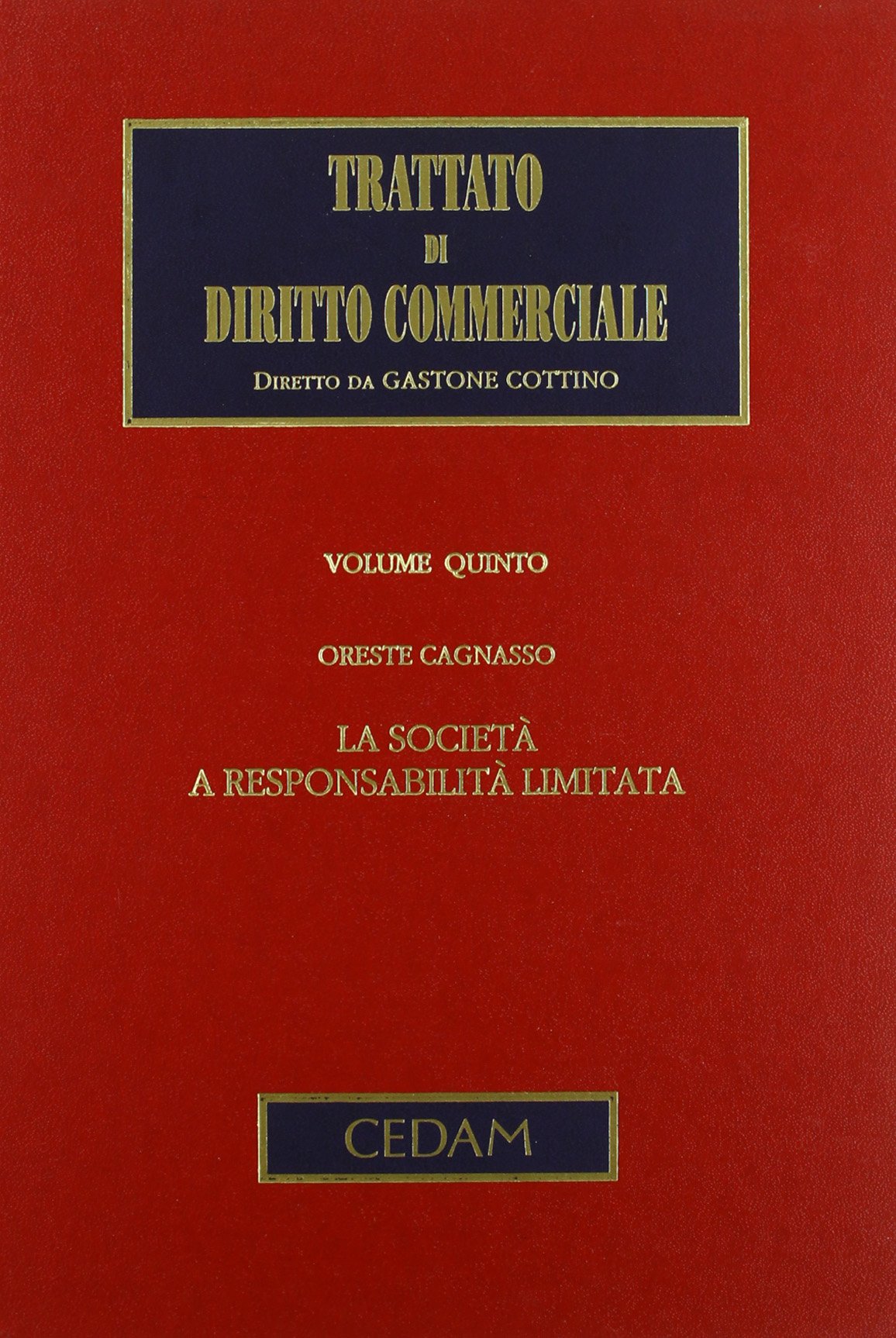 Trattato di diritto commerciale. La società a responsabilità limitata (Vol. 5/1) book