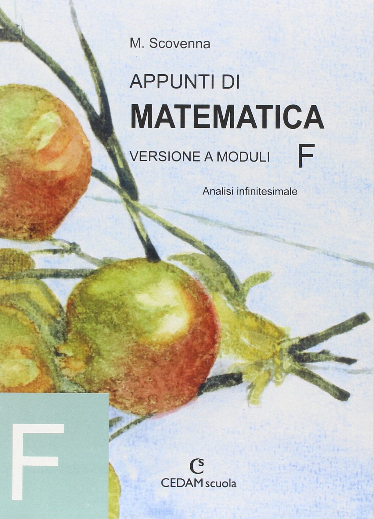 Appunti di matematica. Modulo F: Analisi infinetesimale. Per le Scuole superiori book