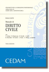 Manuale di diritto civile (Strumenti per la formazione professionale) Law