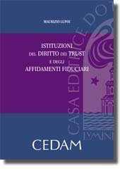 Istituzioni del diritto dei trust e degli affidamenti fiduciari book