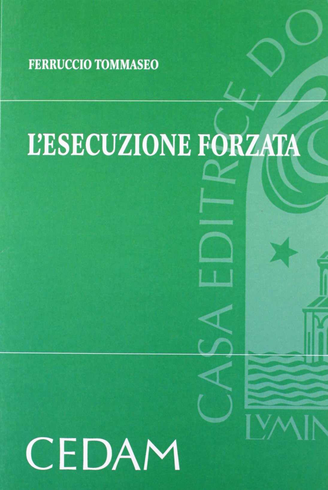 L'esecuzione forzata book