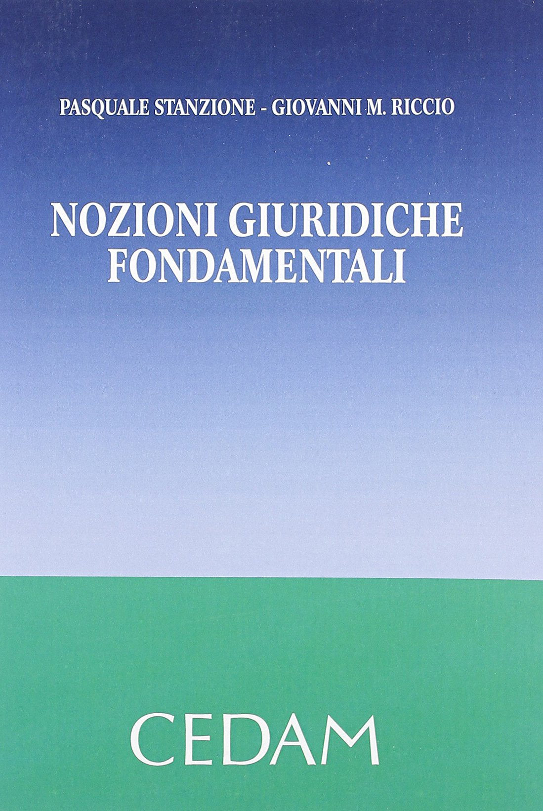 Nozioni giuridiche fondamentali book