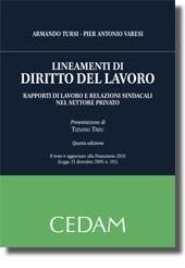 Lineamenti di diritto del lavoro. Rapporti di lavoro e relazioni sindacali nel settore privato book