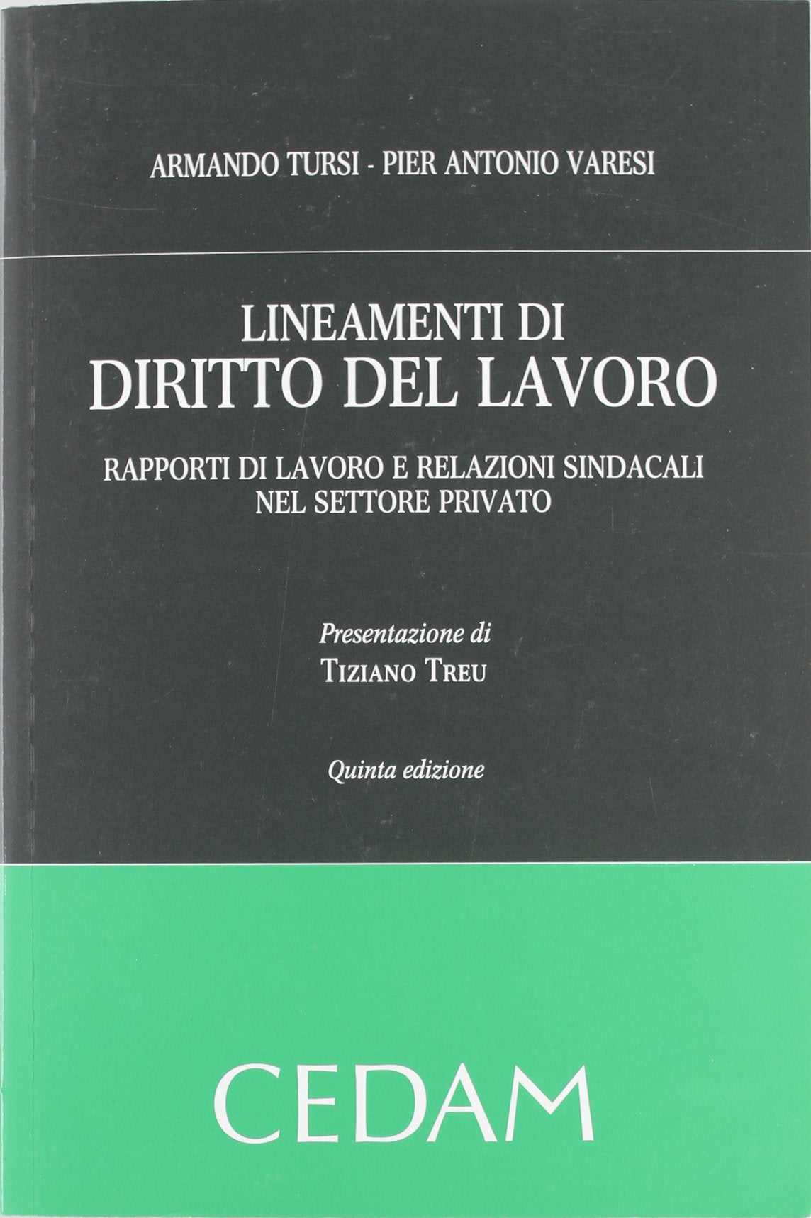 Lineamenti di diritto del lavoro. Rapporti di lavoro e relazioni sindacali nel settore privato book