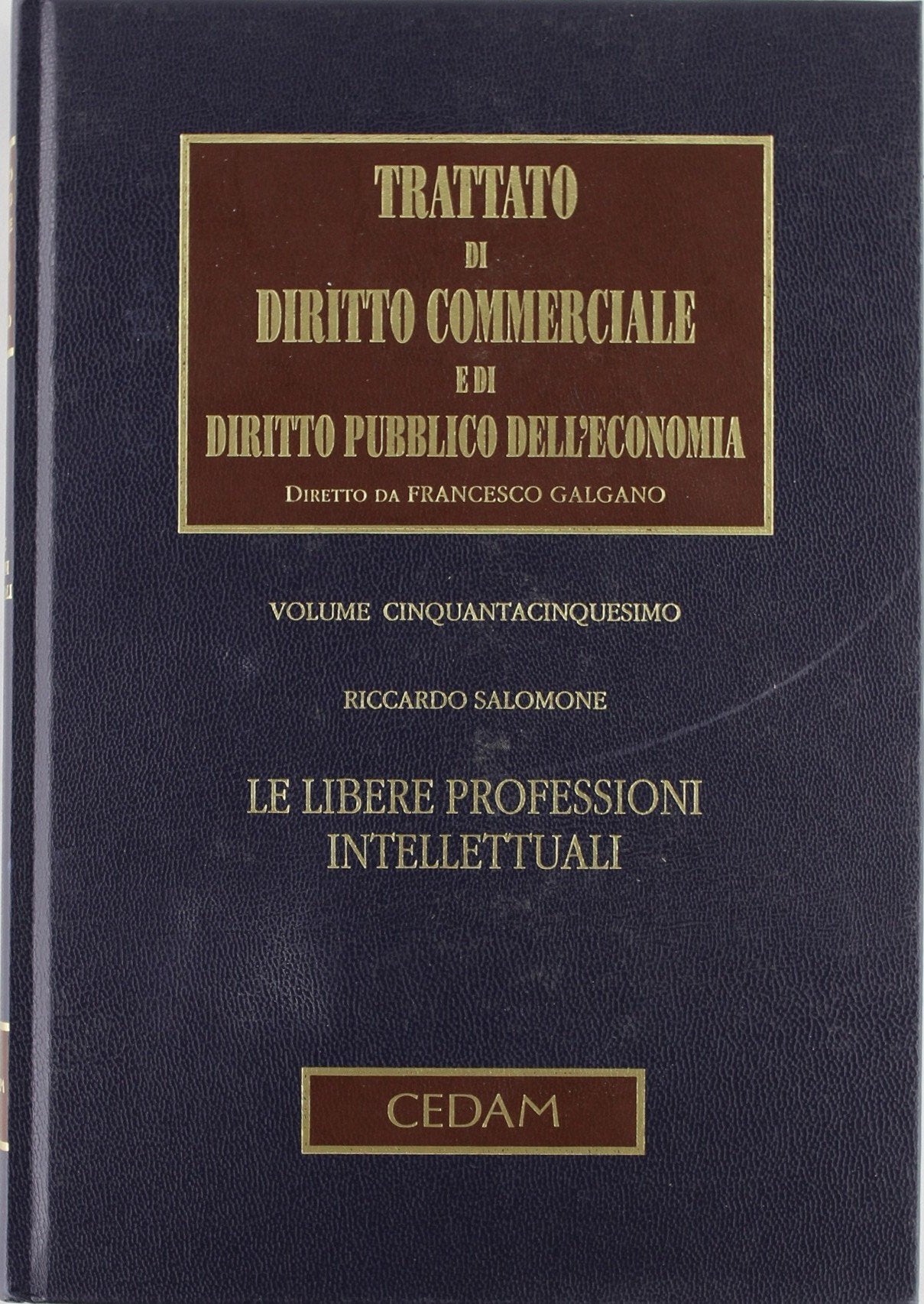 Trattato di diritto commerciale e di diritto pubblico dell'economia. Le libere professioni intellettuali (Vol. 55) Law