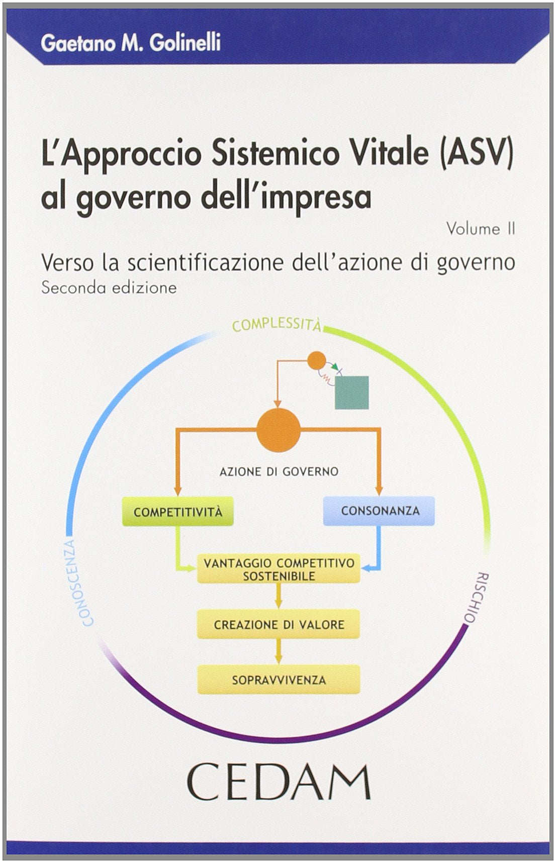 L'approccio Sistemico Vitale (ASV) al governo dell'impresa. Verso la scientificazione dell'azione di governo (Vol. 2) Business, Finance & Career