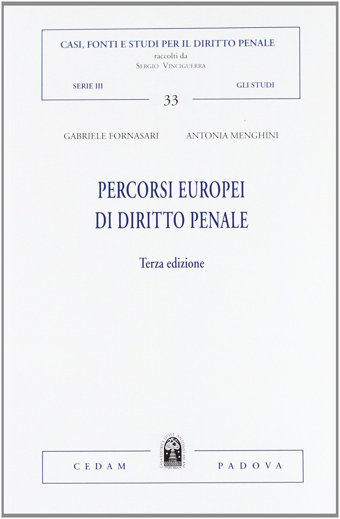 Percorsi europei di diritto penale book