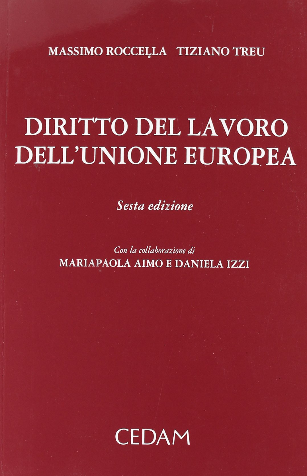 Diritto del lavoro dell'Unione Europea book