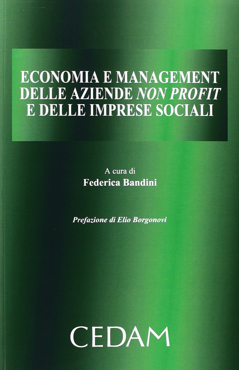 Economia e management delle aziende non profit e delle imprese sociali book