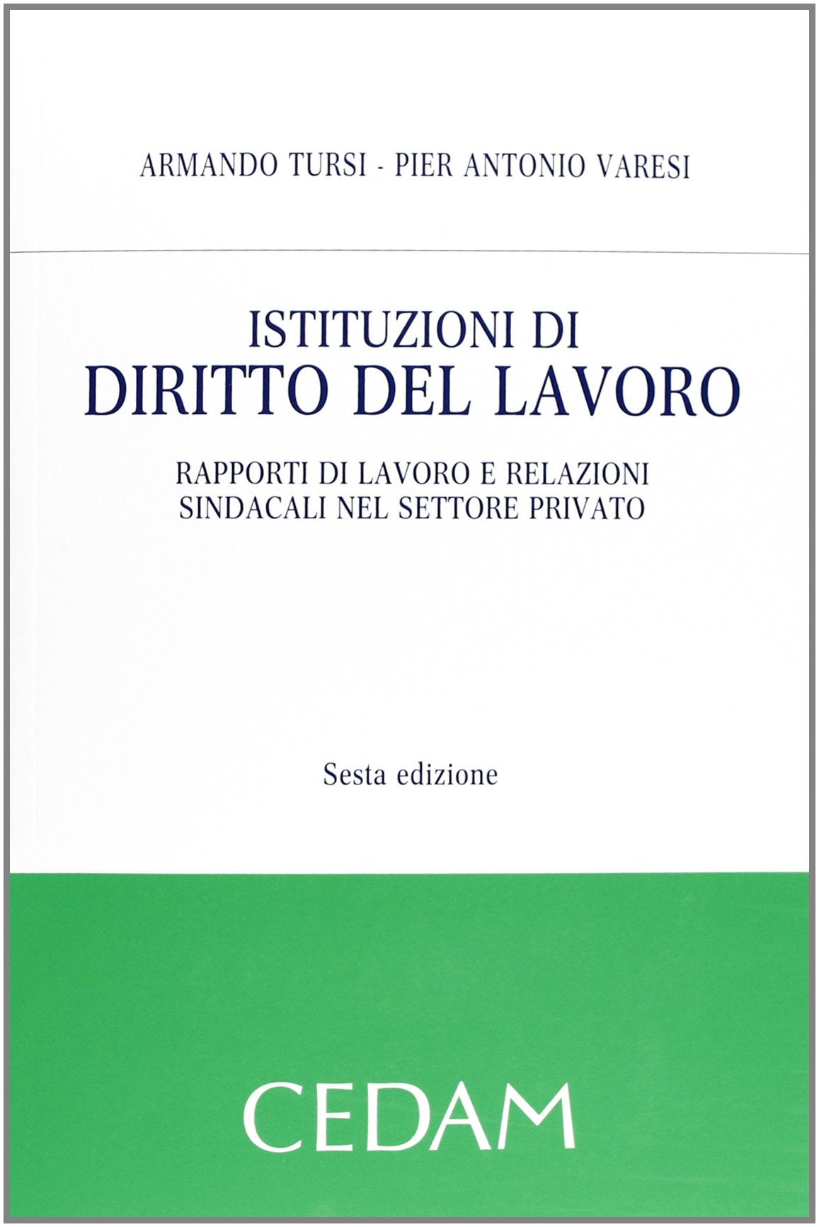 Istituzioni di diritto del lavoro. Rapporti di lavoro e relazioni sindacali nel settore privato Law