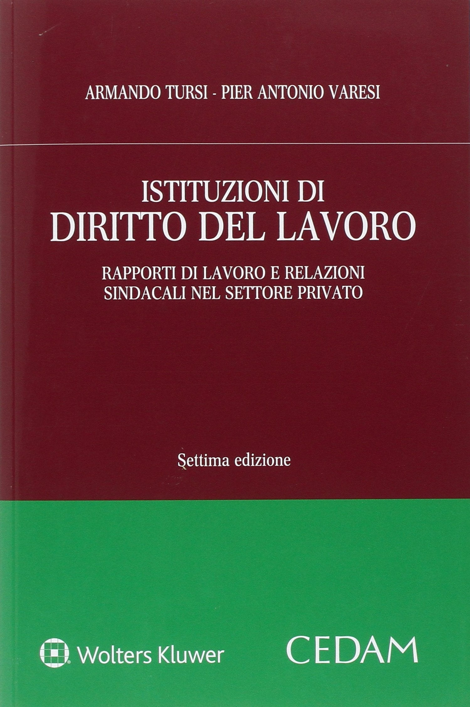 Istituzioni di diritto del lavoro. Rapporti di lavoro e relazioni sindacali nel settore privato book
