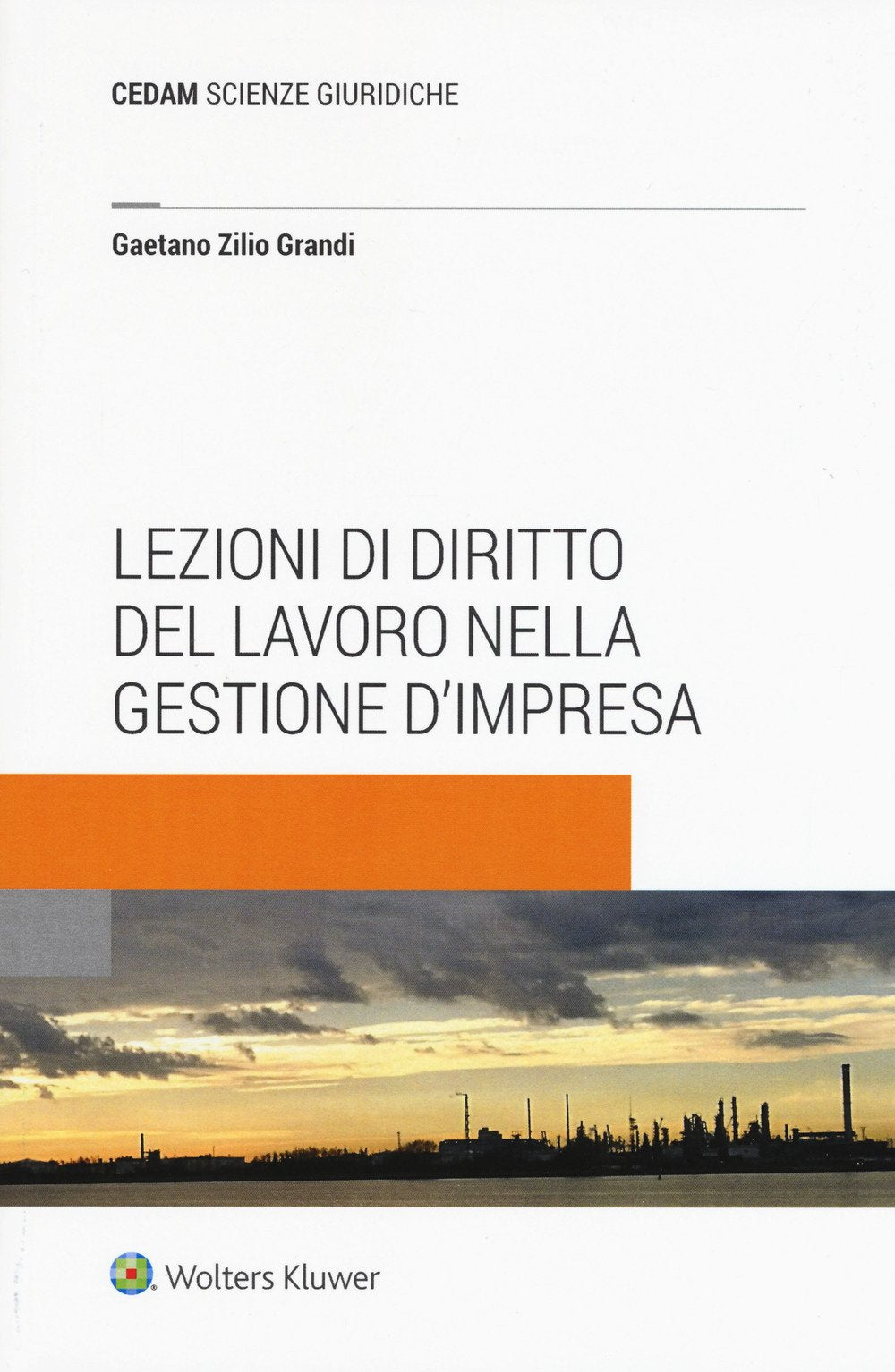 Lezioni di diritto del lavoro nella gestione d'impresa. Con Contenuto digitale (fornito elettronicamente) book