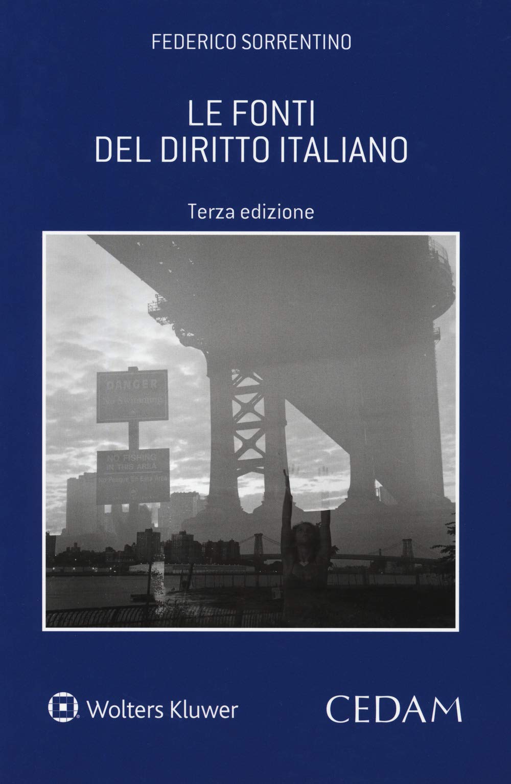 Le fonti del diritto italiano book