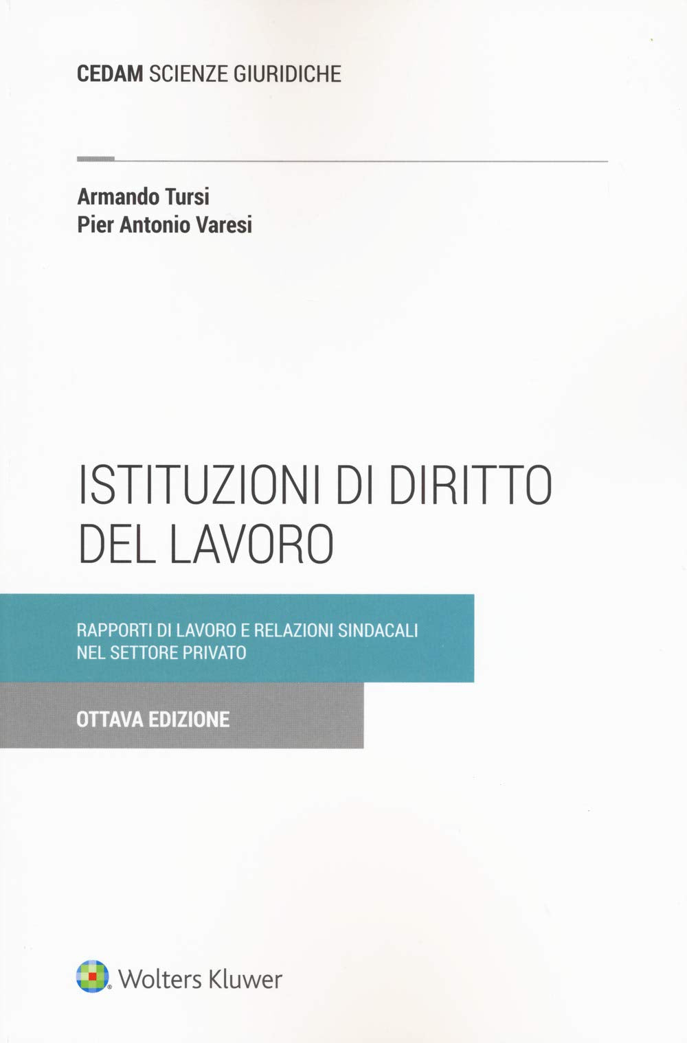 Istituzioni di diritto del lavoro. Rapporti di lavoro e relazioni sindacali nel settore privato Law