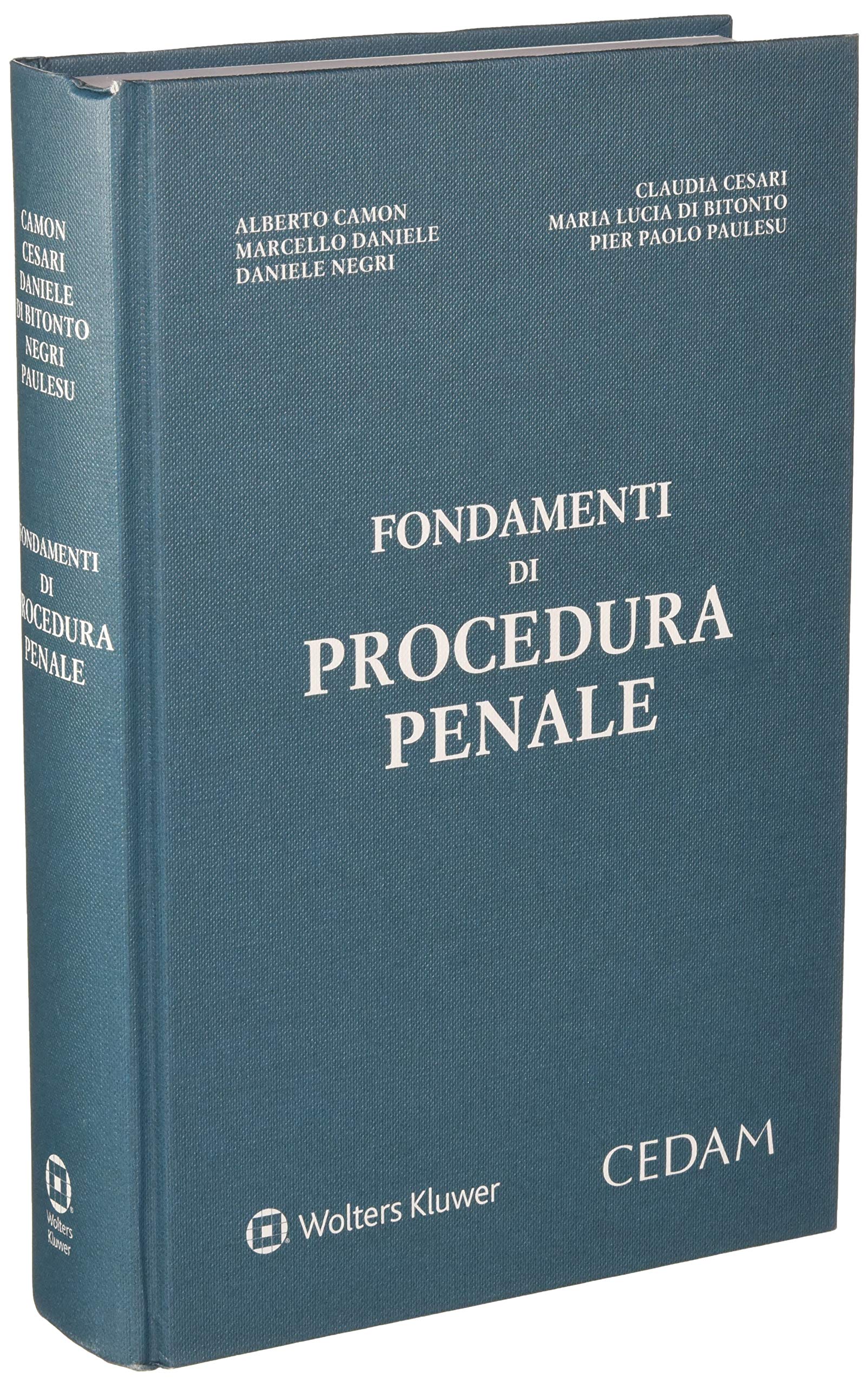 Fondamenti di procedura penale book