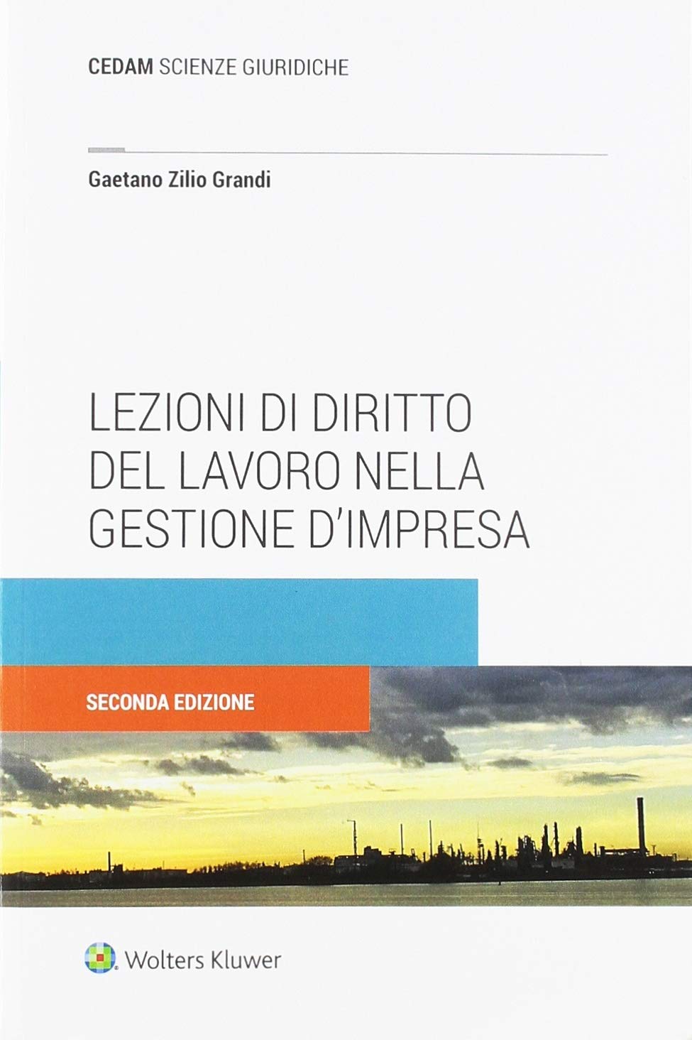 Lezioni di diritto del lavoro nella gestione d'impresa book