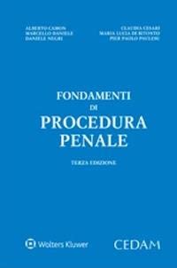 Fondamenti di procedura penale book
