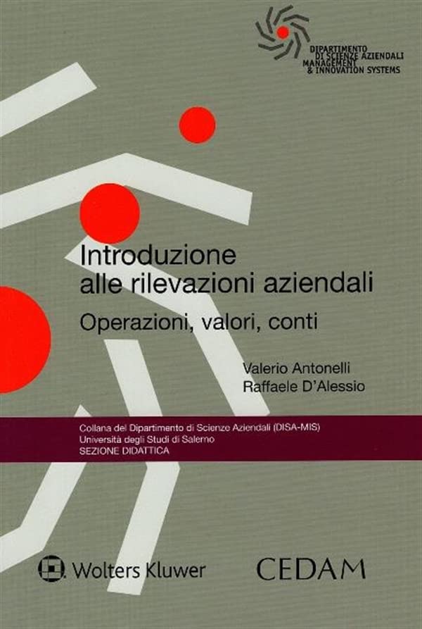 Introduzione alle rilevazioni aziendali book