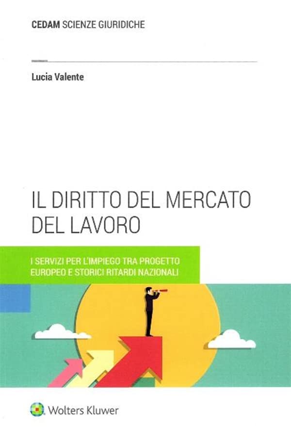 Il diritto del mercato del lavoro book