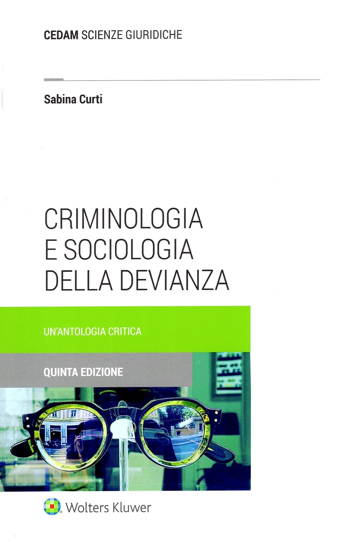 Criminologia e sociologia della devianza. Un'antologia critica book