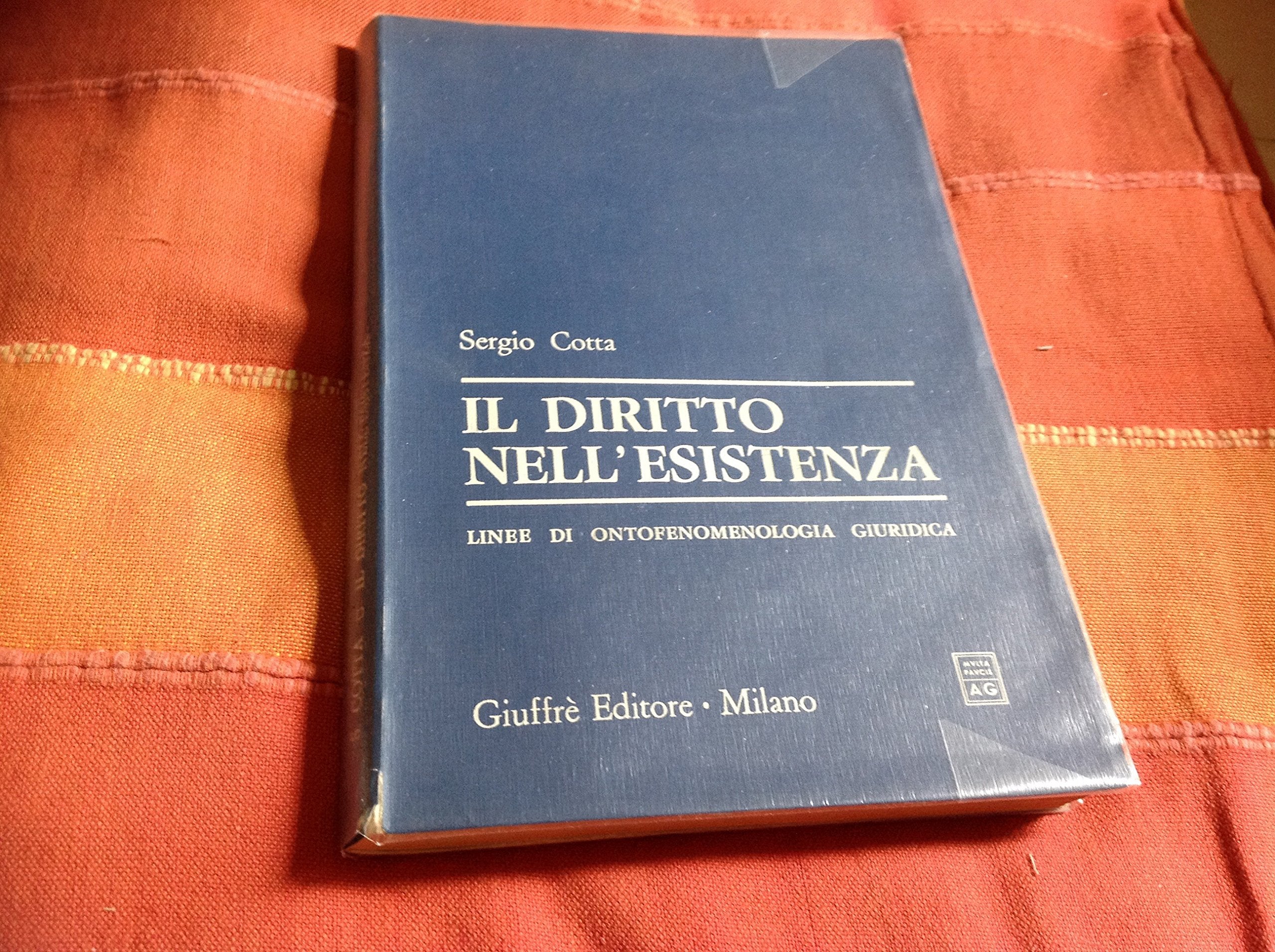 Il diritto nell'esistenza. Linee di ontofenomenologia giuridica book