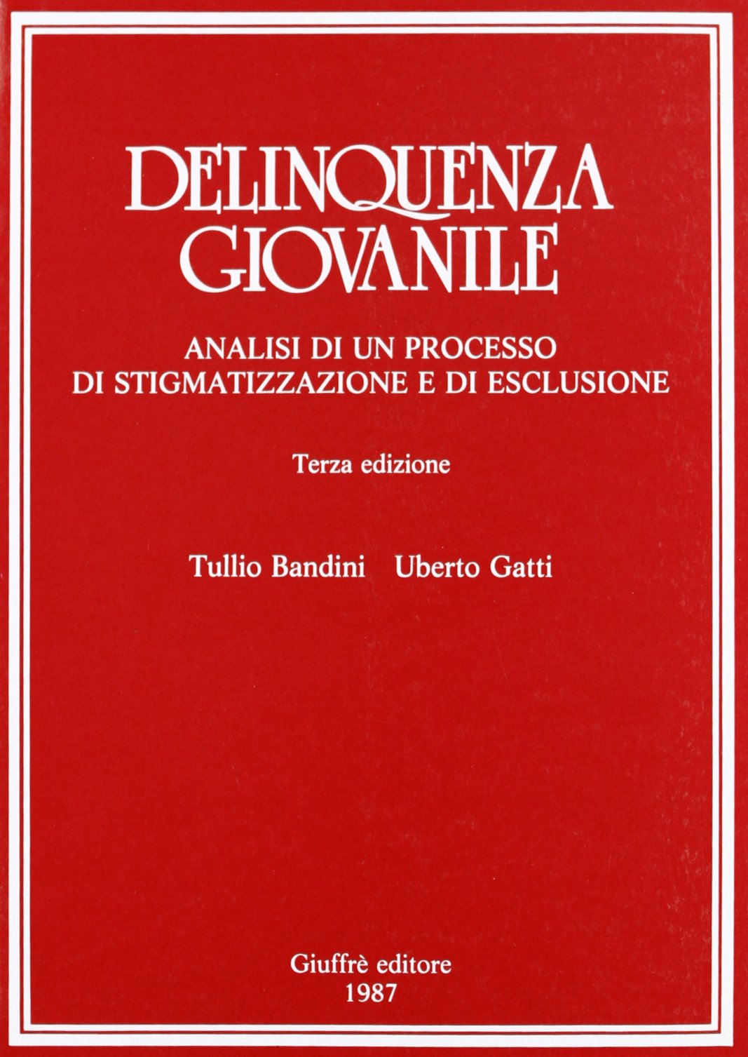 Delinquenza giovanile. Analisi di un processo di stigmatizzazione e di esclusione book
