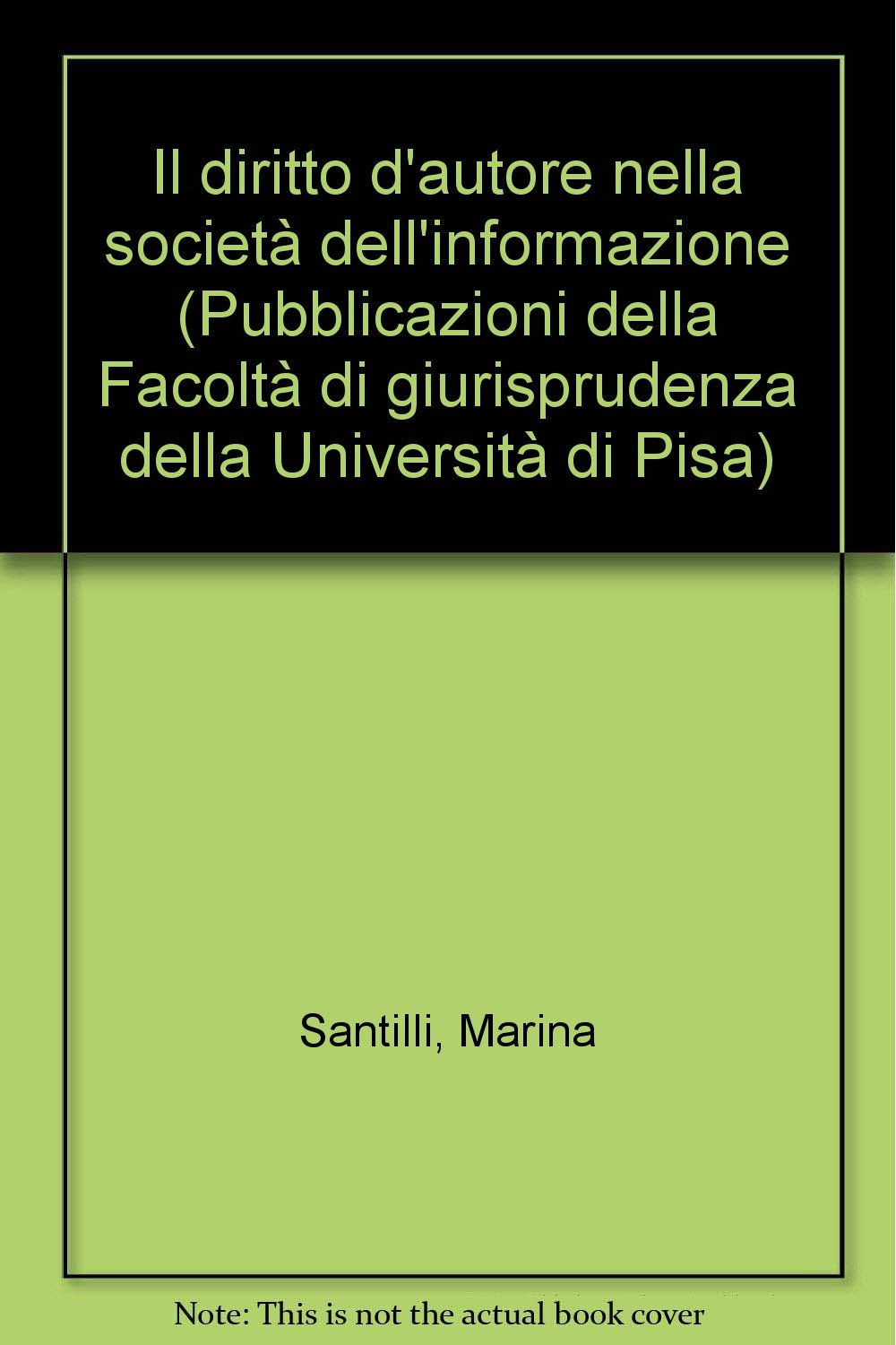 Il diritto d'autore nella società dell'informazione (Univ. Pisa-Fac. giuridica, Band 105) Law