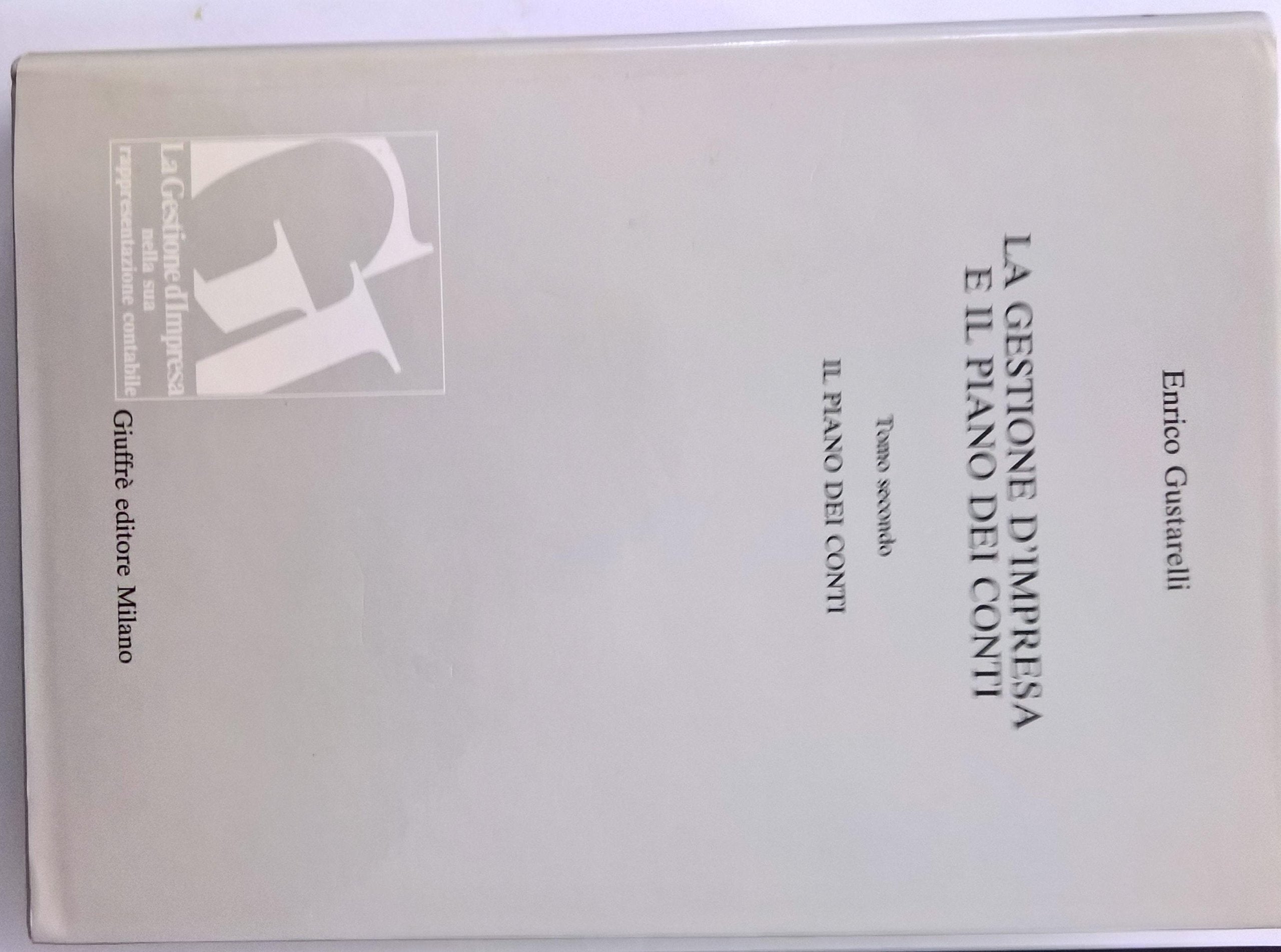 La gestione d'impresa nella sua rappresentazione contabile. Il piano dei conti (Vol. 1/2) Books