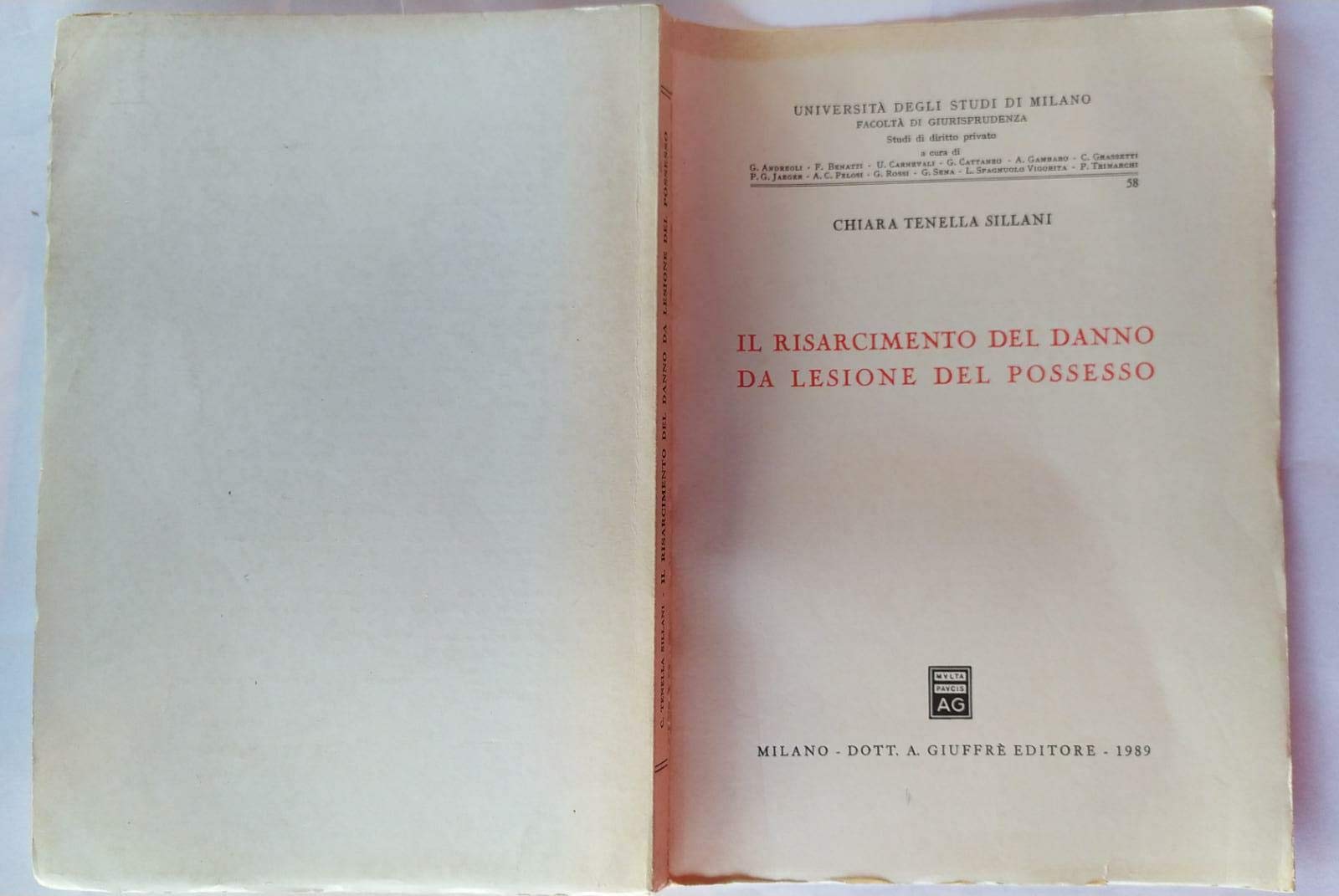 Il risarcimento del danno da lesione del possesso (Univ. Milano-Fac. giuridica, Band 58) Law
